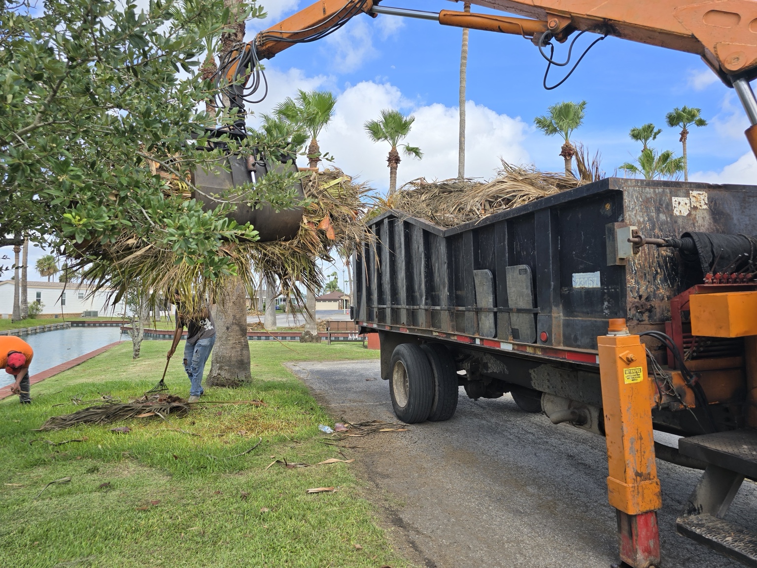 Crew loading palm fronds and tree debris into a dump truck during cleanup