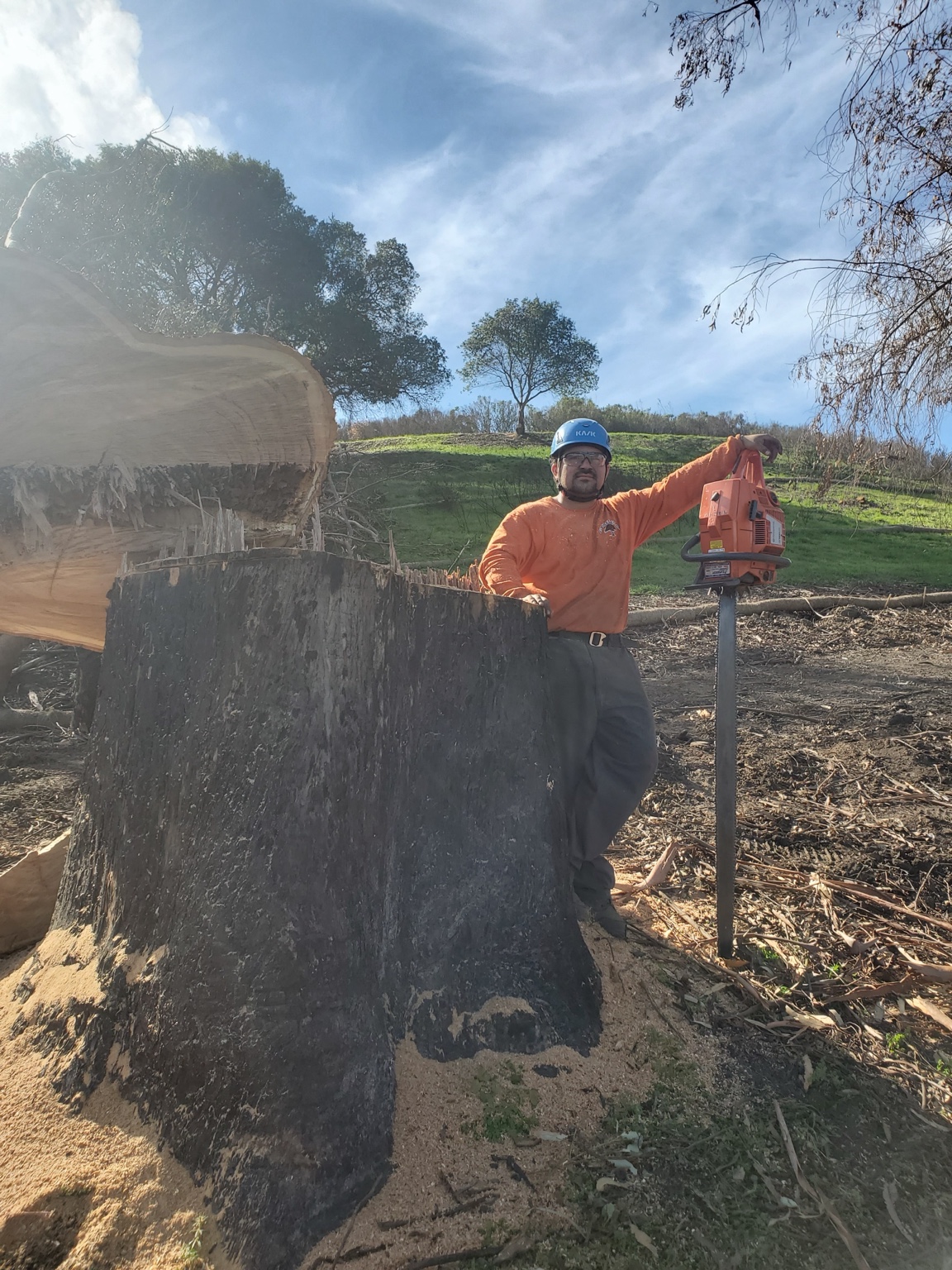 Owner of Ed's Tree Specialists standing beside a freshly cut stump with a chainsaw