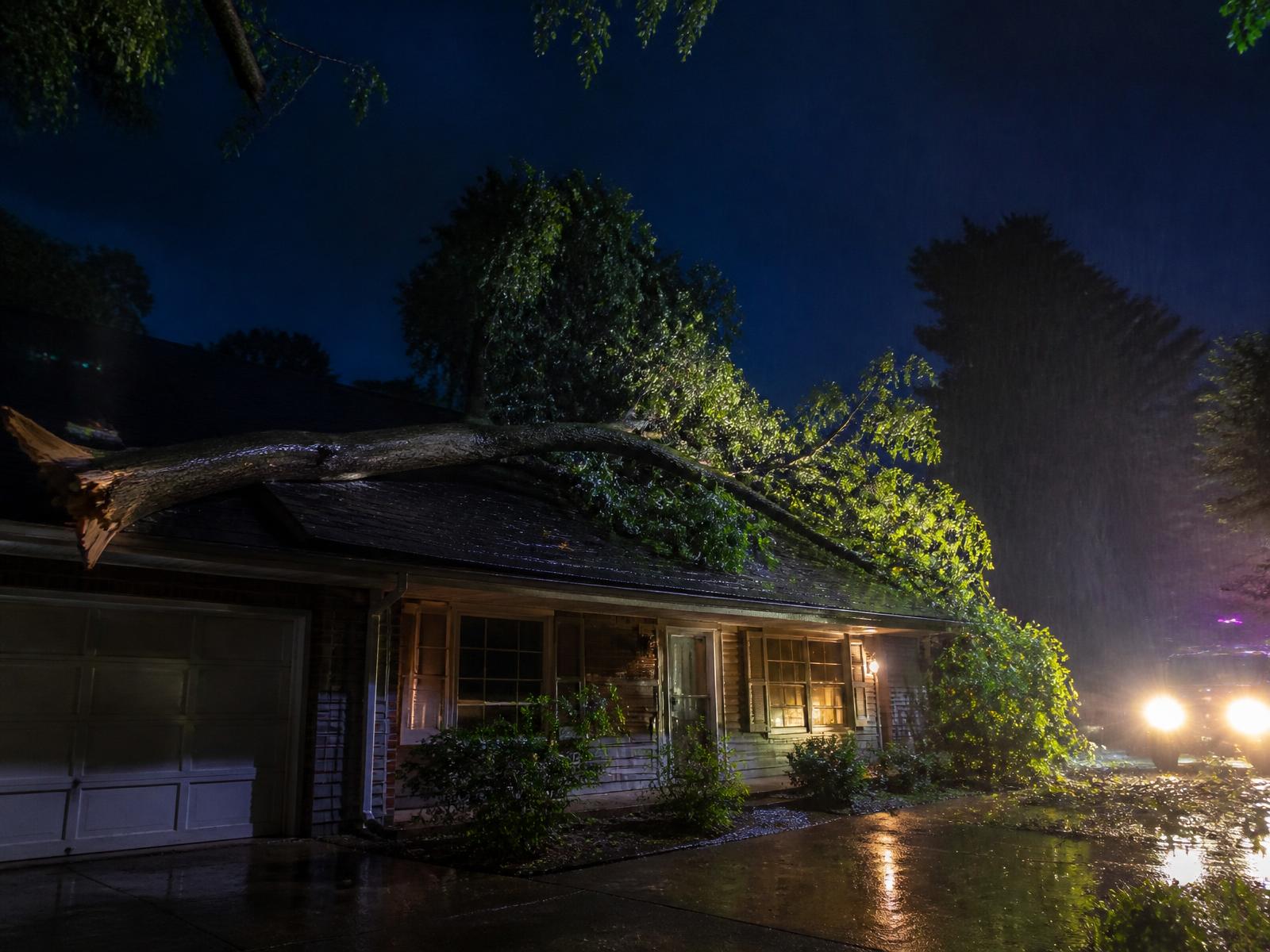 Storm-downed tree resting on a house roof at night under work lights